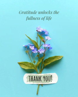 Gratitude & Affirmations 7 days Workshop