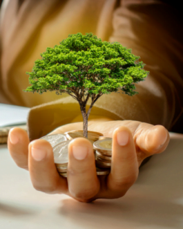 Powerful Prosperity Ritual (THE MOST POWERFUL RITUAL)