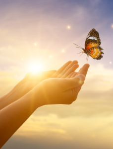 Read more about the article Every decision is RIGHT!