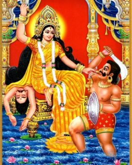 Maa Baglamukhi Puja Havan at Nalkheda Shaktipeeth, Madhya Pradesh